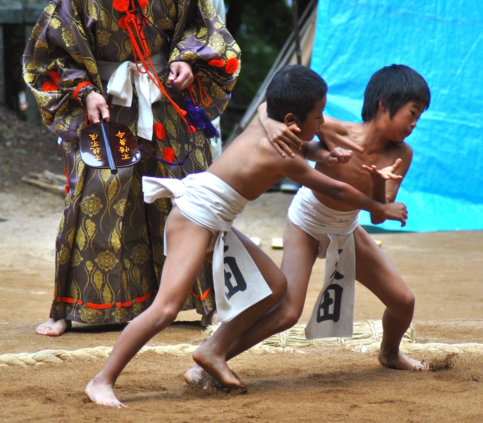 Japan boy сумо