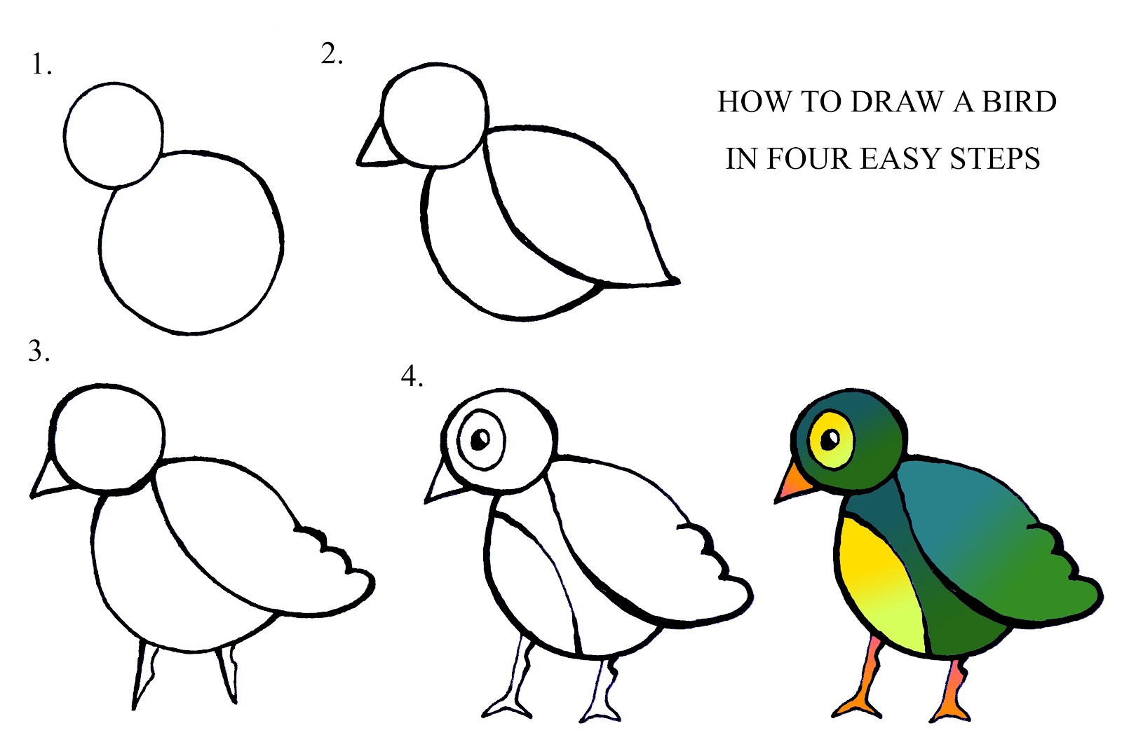 How To Draw A Bird Drawings Bird Drawings Bird Art | Hot Sex Picture