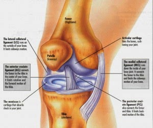 Thực phẩm chức năng với bệnh thoái hóa khớp