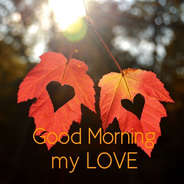 good morning sms with love