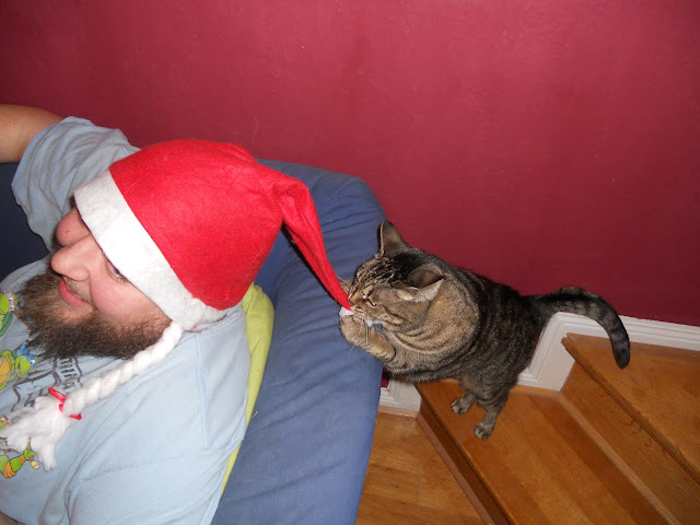 platying kitty santa hat