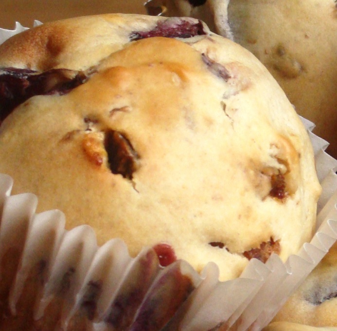 Shortnotes of History Muffin in history