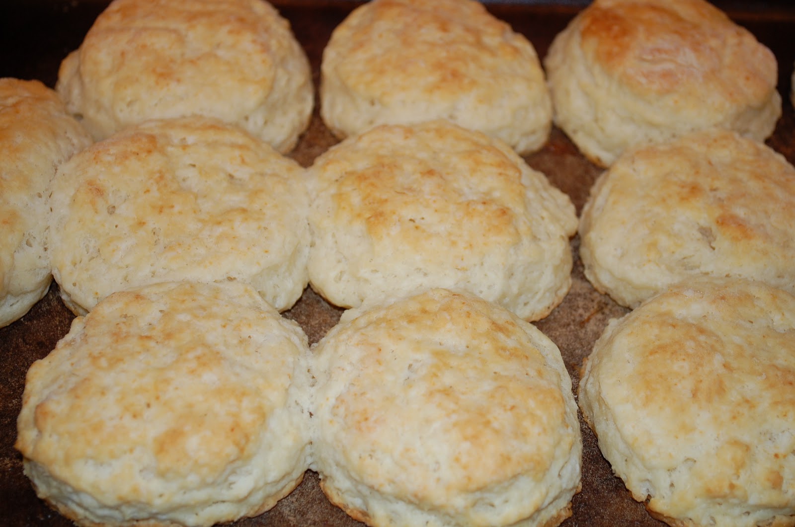 Homemade Biscuits 61