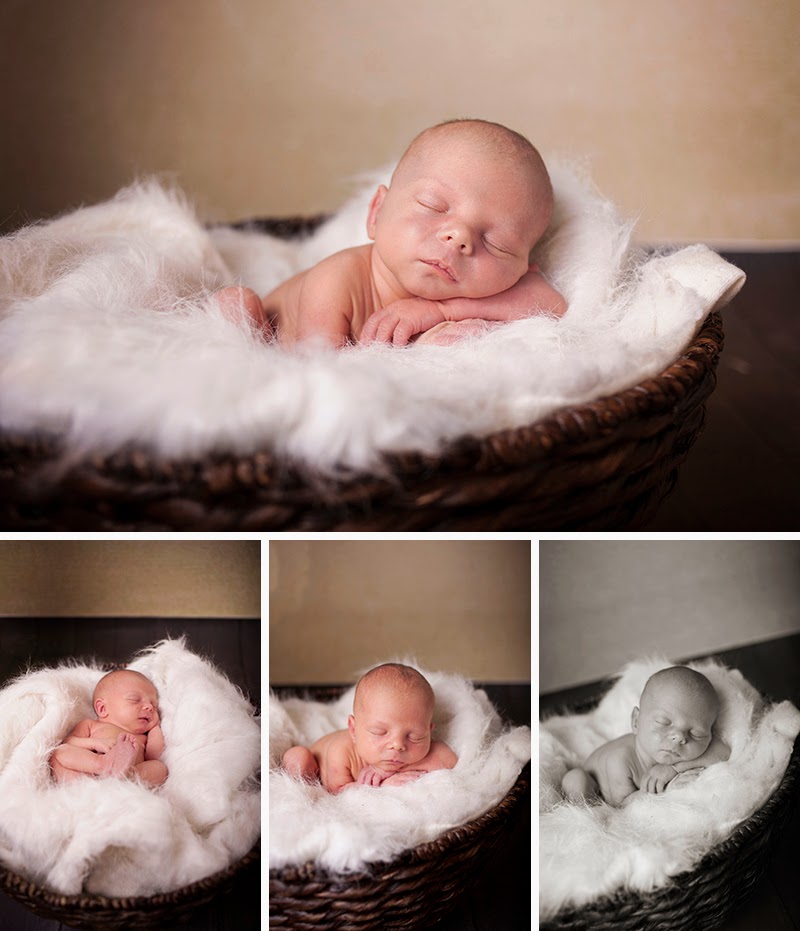 Newborn session Parker, PA Sandra Jackson Photography