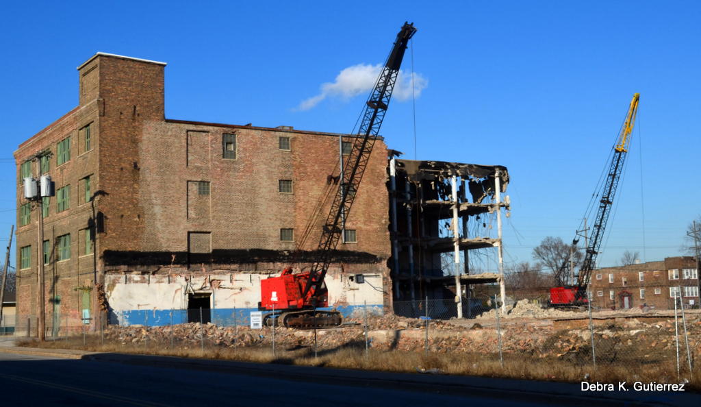 Debra K. Gutierrez Photography Queen Anne Candy