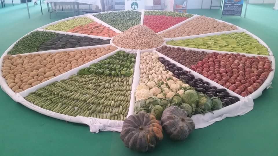FLASH INFOS Journe national de la vulgarisation agricole - Oued Souf