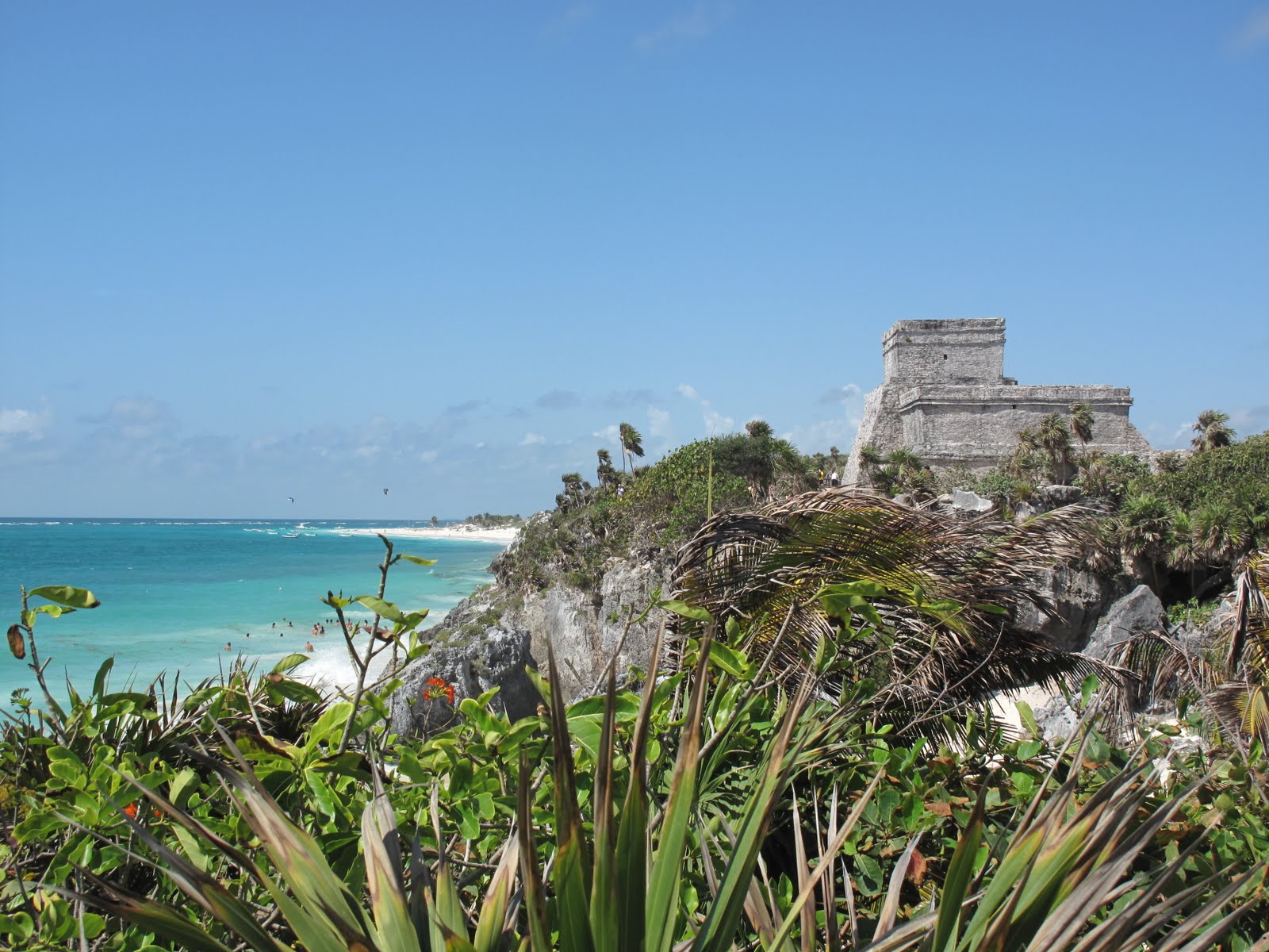 Carlito Treks: Tulum & Cenotes