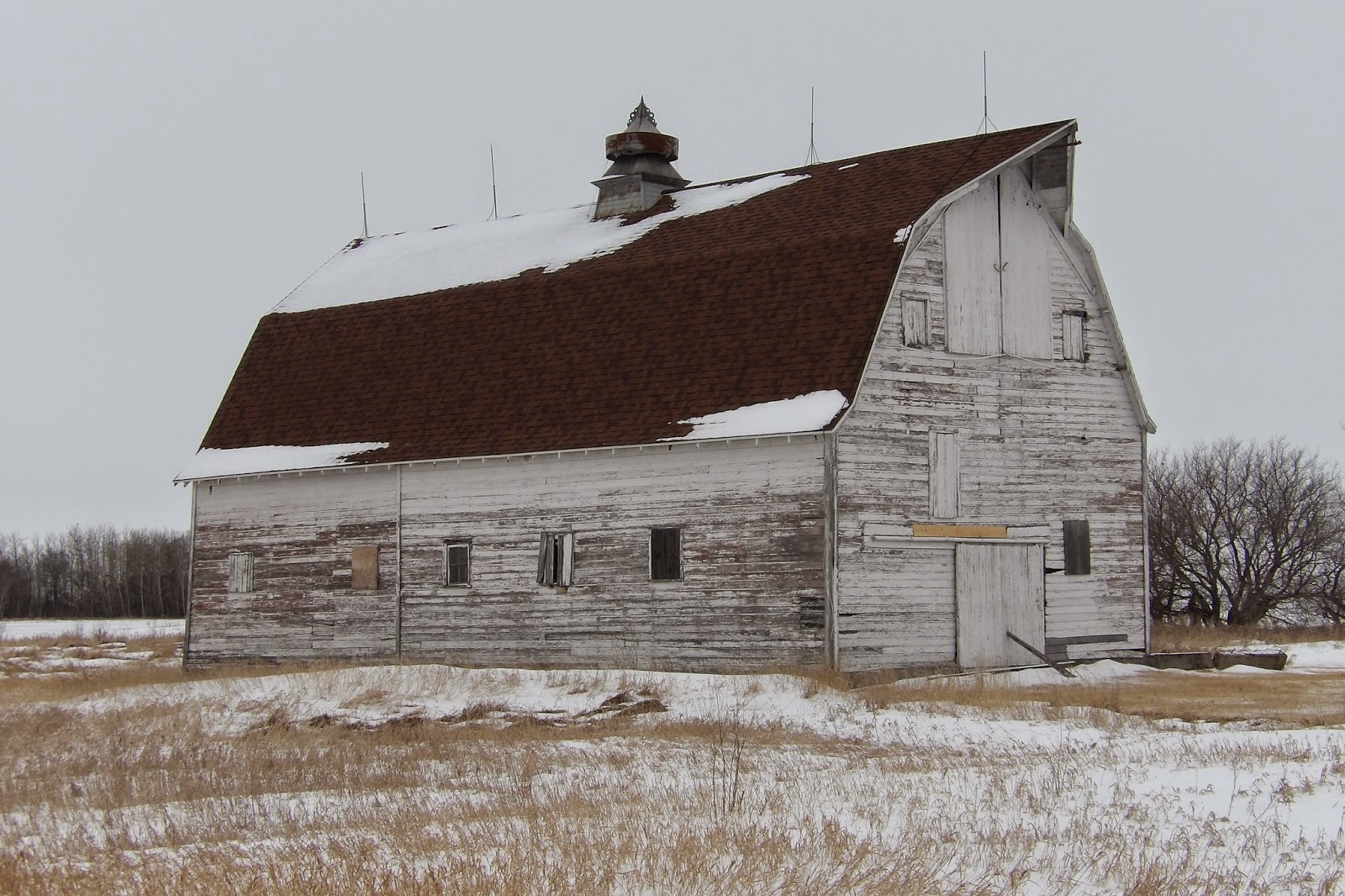Nor'west Scribe Old Barns and Cupolas