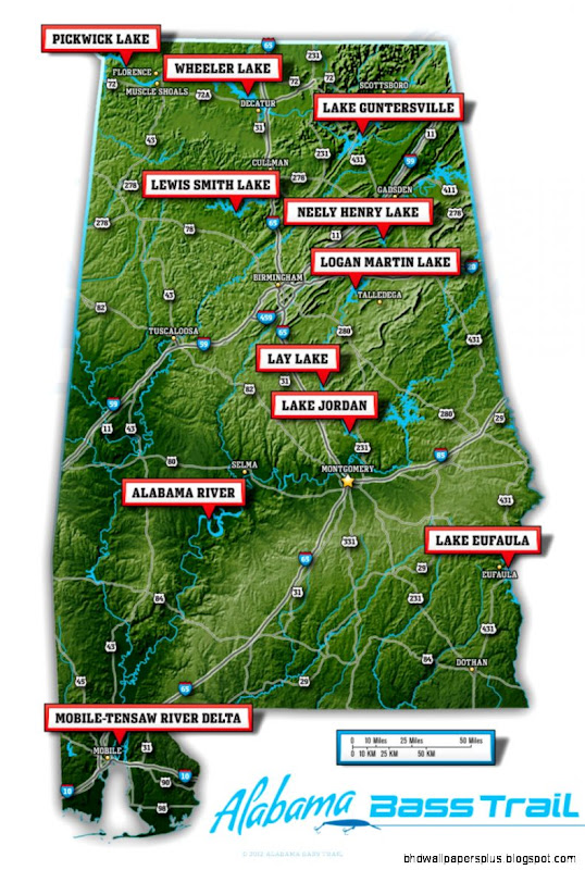 Award Winning   The Voice of Cherokee County  Local