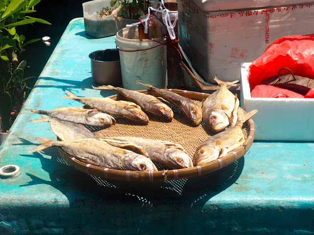 Fish drying in the sun on the docks in Aberdeen, Hong Kong