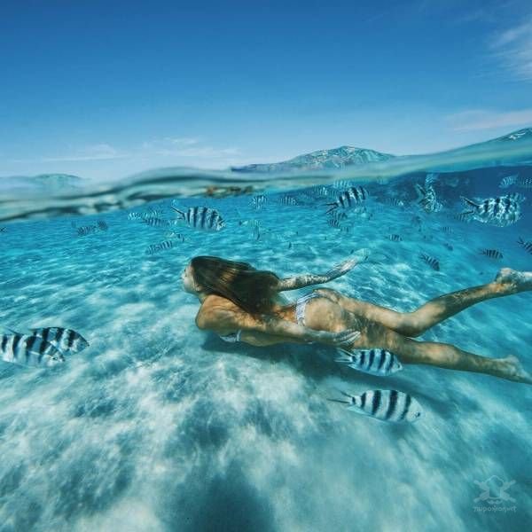 Υποβρύχιες λήψεις - Underwater shots