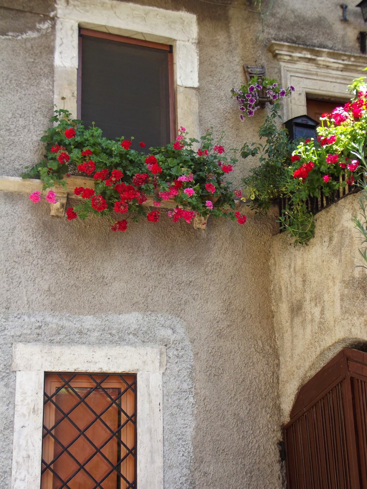 Erbe,the authentic Italian beauty culture.: Geranium, Evening primrose ...