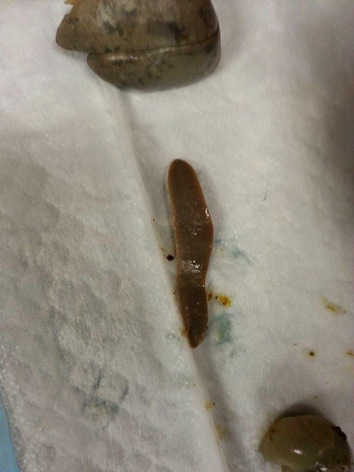 My Biology Blog : 2014