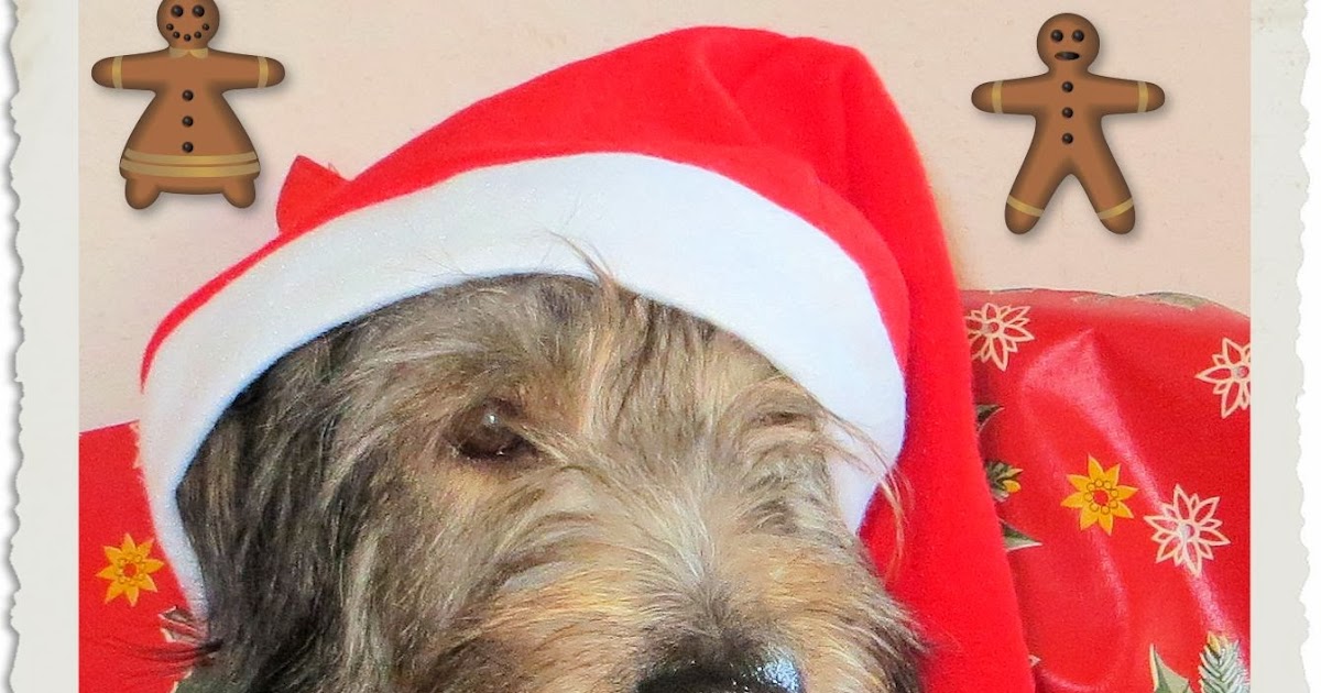 Tierisches Wir knacken die zweite Haselnuss