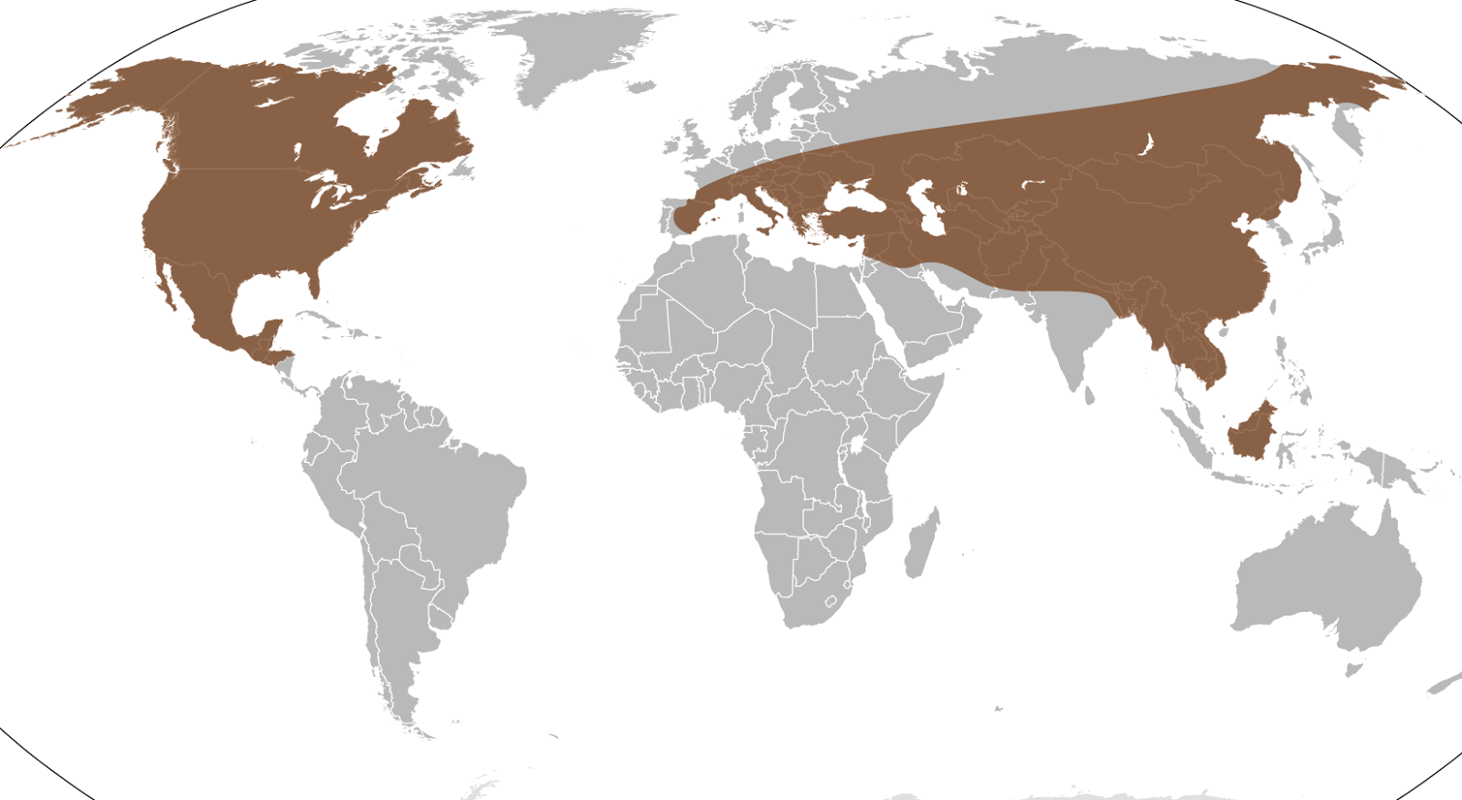 Mastodon Distribution