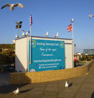 Seagulls in Hastings