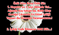 3 Öğüt 3 Öğüt