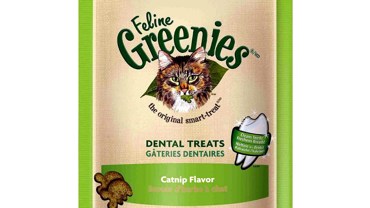 Greenies For Cats Reviews Cat Choices