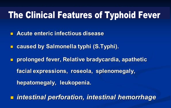 The Clinical Features of Typhoid Fever