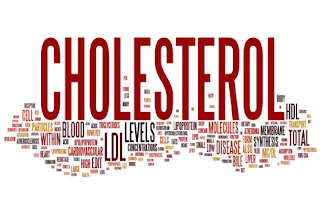 Definisi & Pengertian Kolesterol Dalam Darah