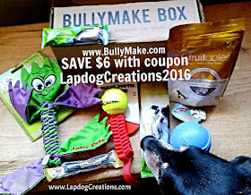 Teutul sniffing out the toys and treats inside his Bullymake Box  #Bullymake  Save $6 off any plan with coupon code LapdogCreations2016 #LapdogCreations