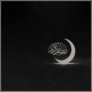 image-7p-e833