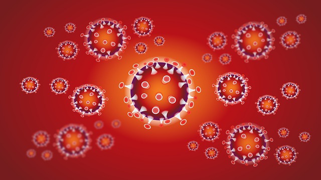 How to Safe From Corona Virus How to Safe From Corona Virus
