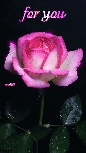 For+You+Animated.gif