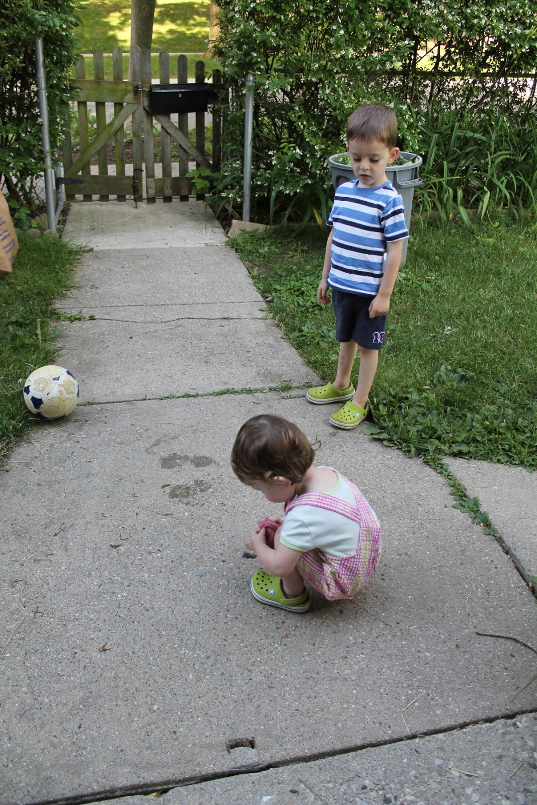 Here's The Scoop: The One With All The Poop