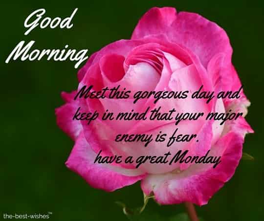 happy-monday-quotes-with-images happy monday quotes with images