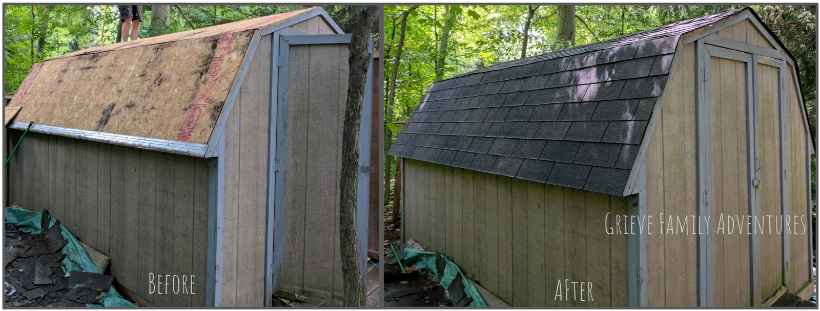 shingles shed roof