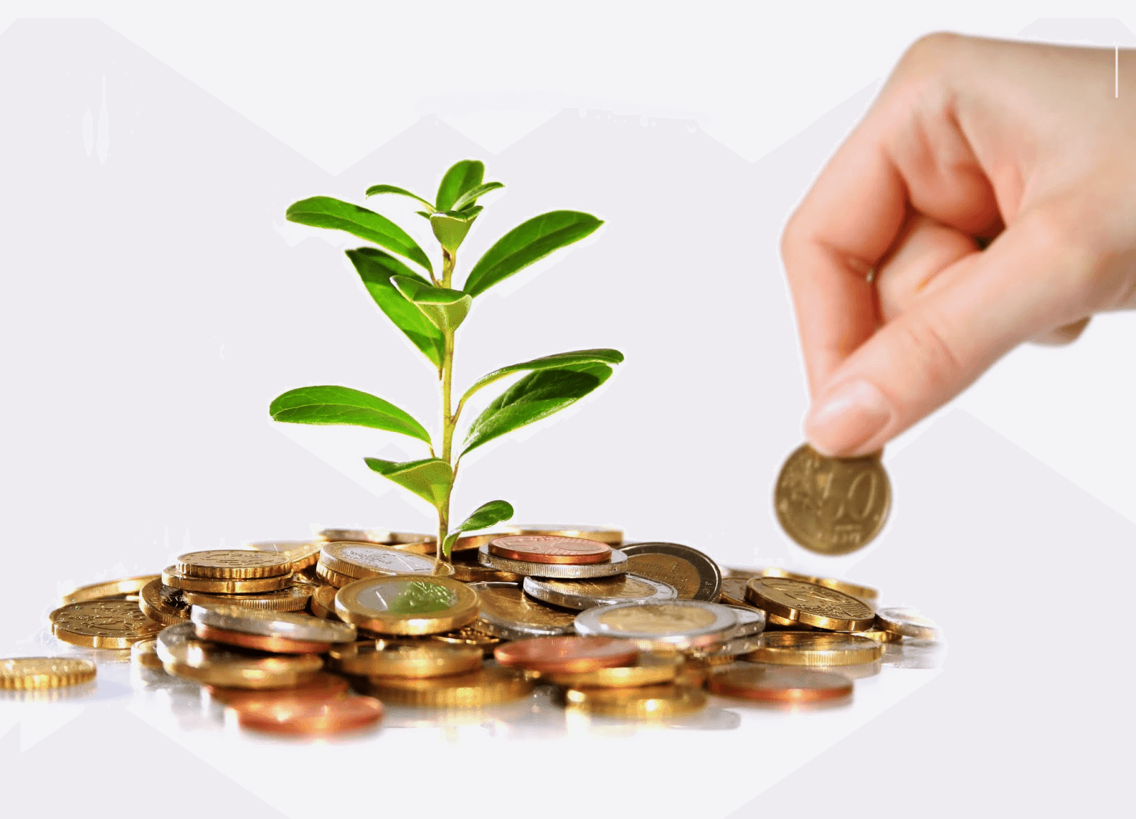 Kết quả hình ảnh cho ĐẦU TƯ TIỀN