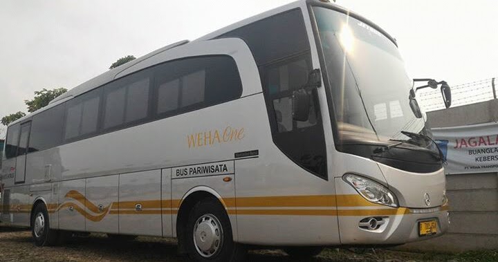 Mengarungi Negeri dengan Bus Pariwisata: Kemewahan dan Kenyamanan di Balik Latar Putih