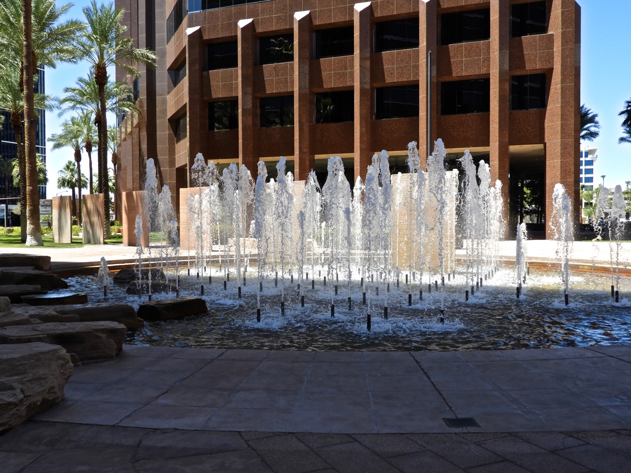 Phoenix Daily Photo Fountain Centerpiece