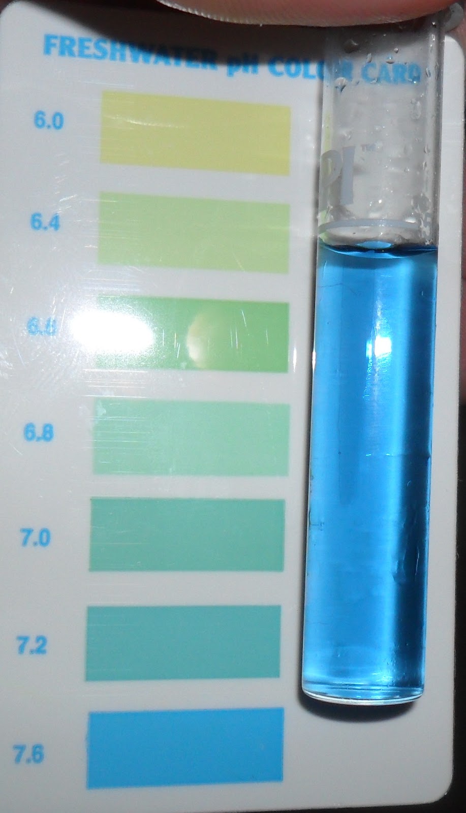 Two Years and Three Months of Cyanobacteria November 2012