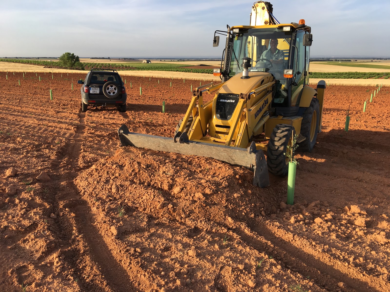 An original irrigation system for olive trees Earthenware jar