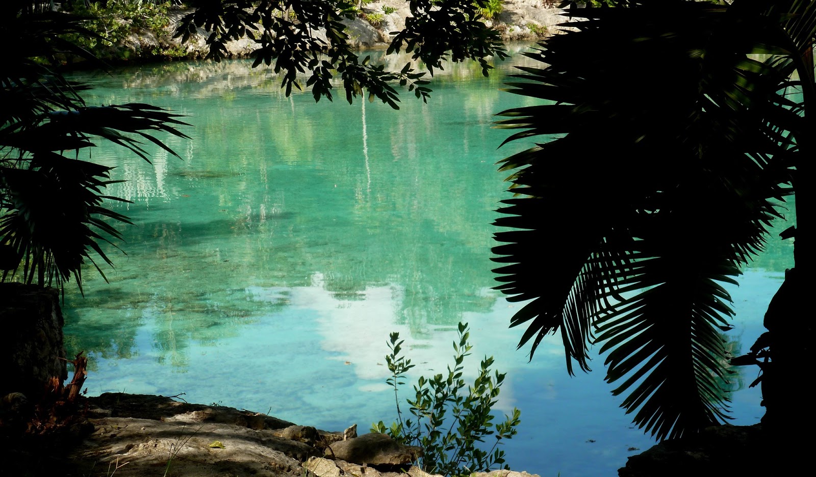 Lord of the Flies Arielle Chapter 3 Huts on the Beach