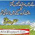 Aqwal-e Zarren Of Hazrat Ali (R.A)