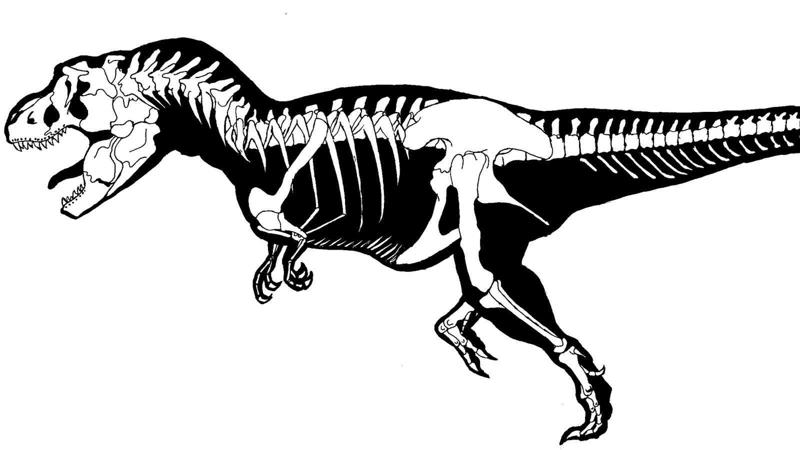 t rex skeleton coloring pages - photo #18