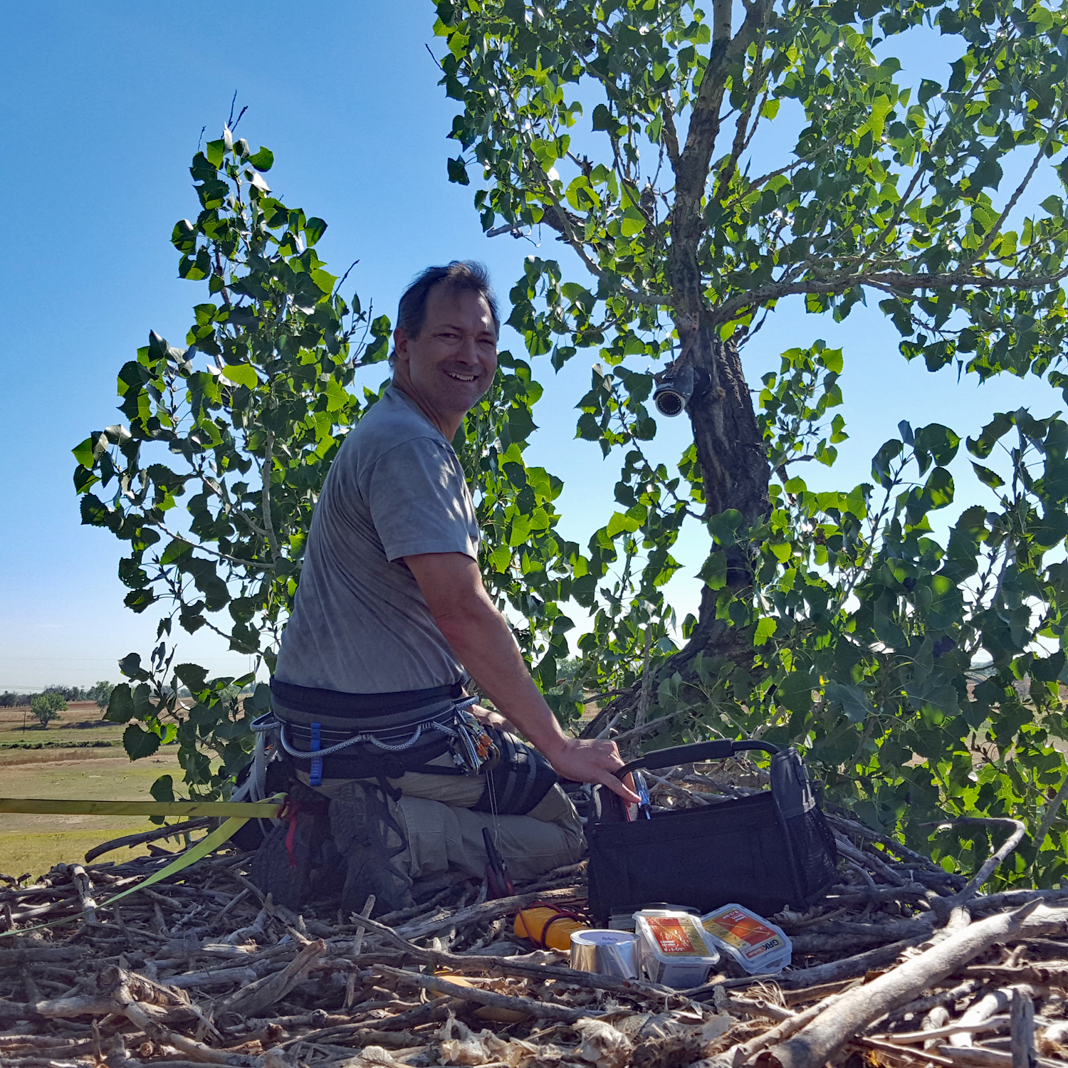 Raptor Resource Project Blog Live from the Fort St. Vrain Bald Eagle nest!