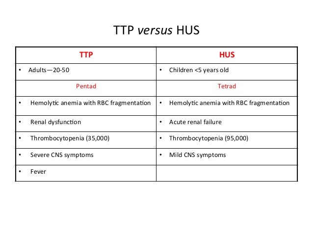 Murhus vs trehus