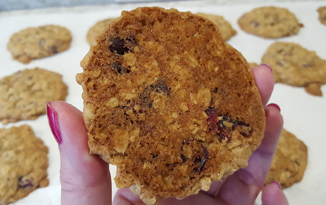 The Bottom of a Cranberry Chocolate Chip Oatmeal Cookie