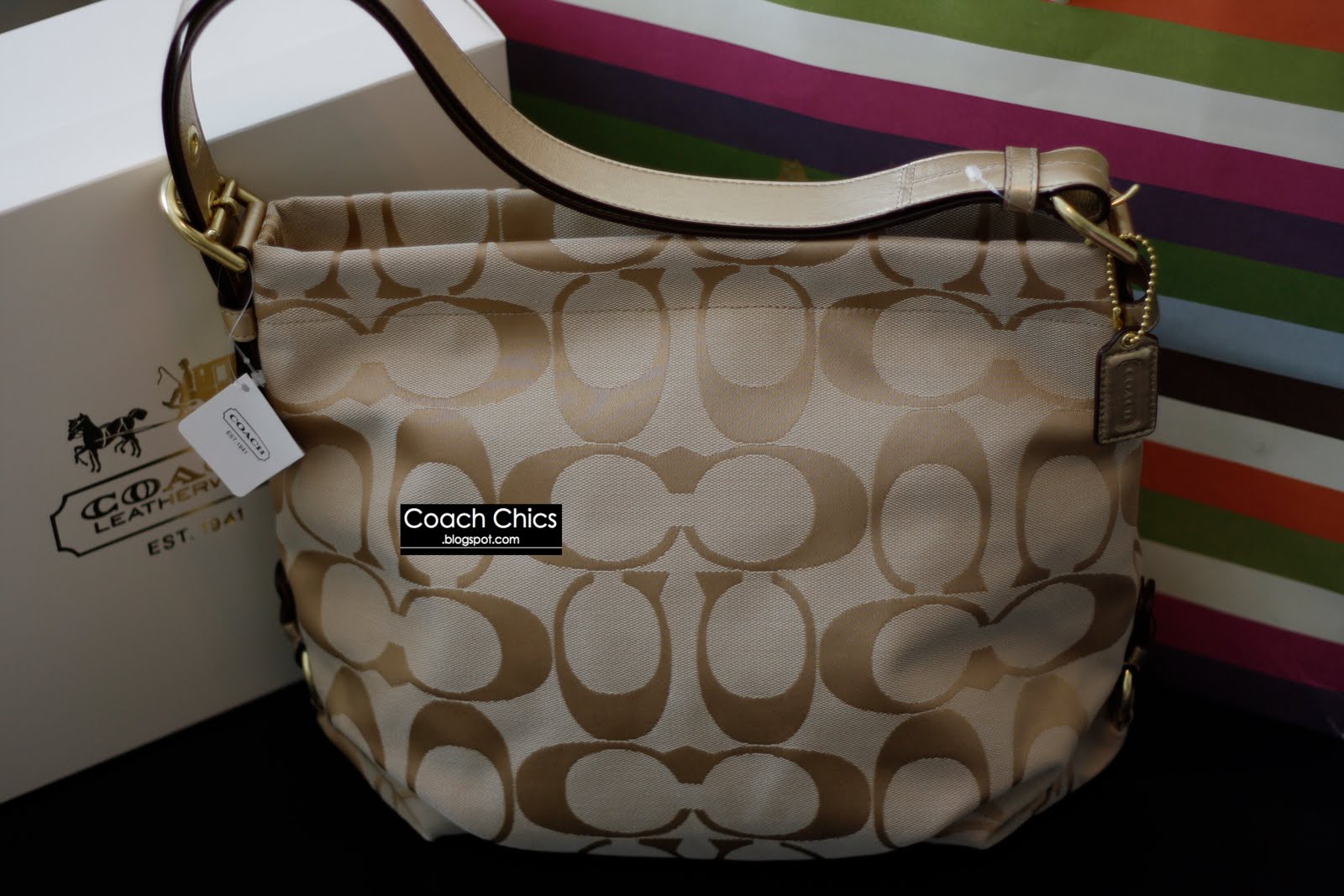 Coach Chics COACH 24 CM Signature Duffle Bag
