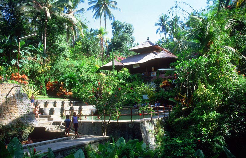 bali beach hotel | free stockphoto