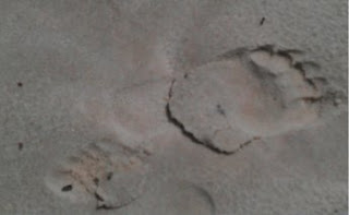 mom n me footprints