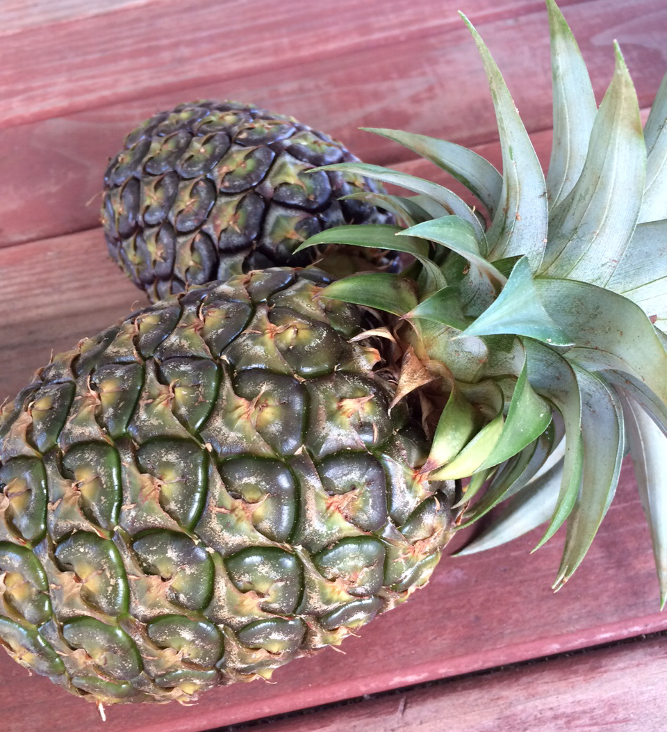 Honey From Rock Green Pineapple Chutney with Cranberries