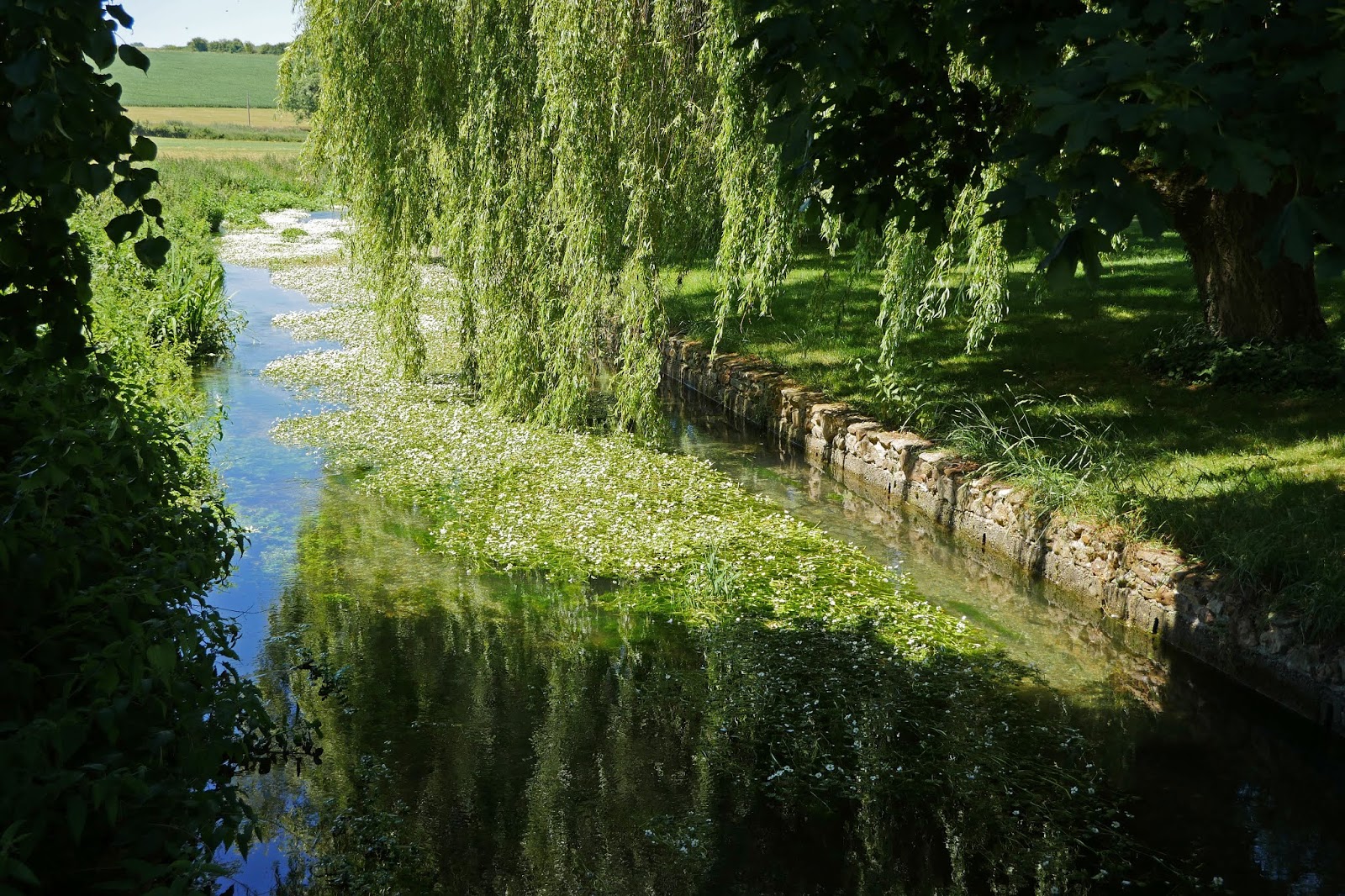 Walking in the country Lambourn to Welford (Lambourn Valley Way 2)