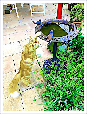 Fudge and The BirdBath @BionicBasil® Puzzle