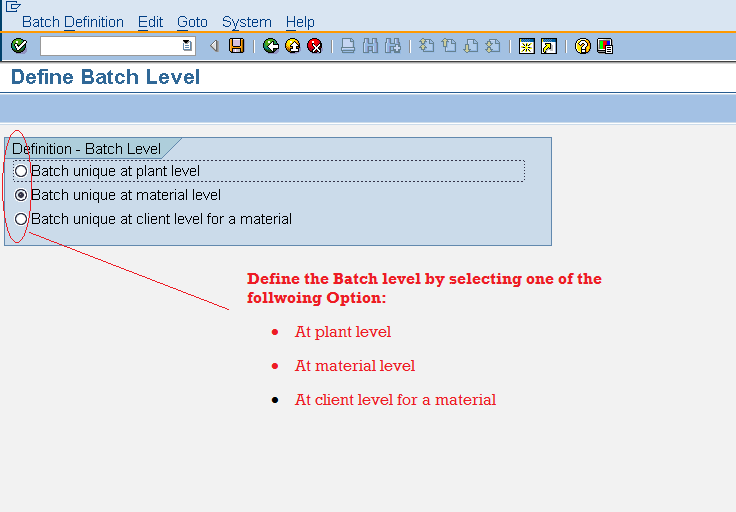 SAP BATCH MANAGEMENT How to Define Batch Level ?