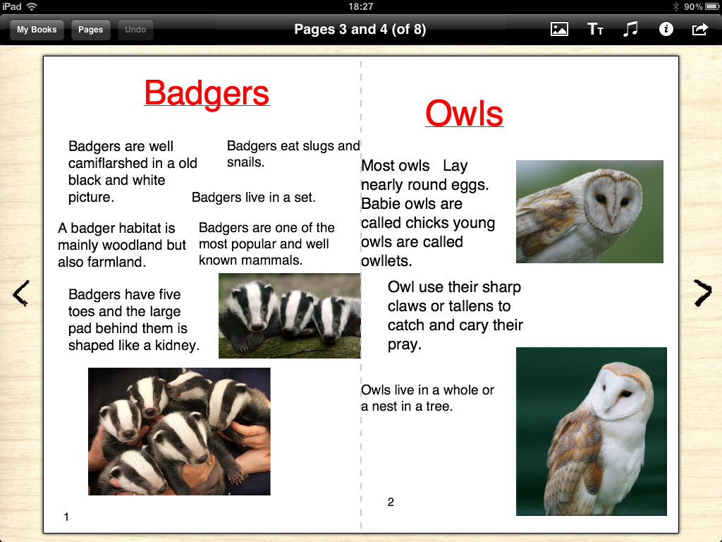 Yoohoo! It's the 2/1's news! Nocturnal animal guide books